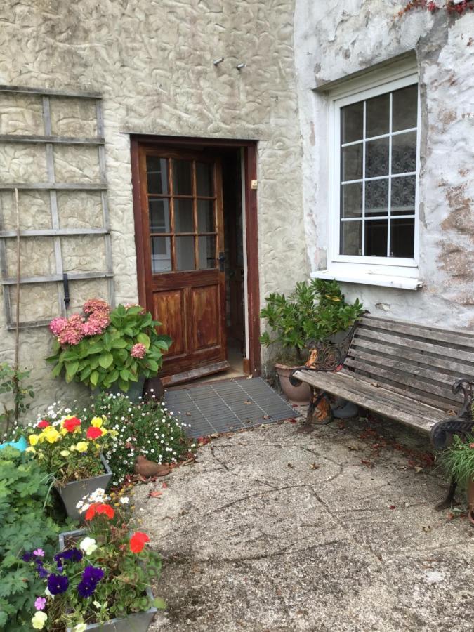 Barn Park Farm, Bed And Breakfast 斯多克兰 外观 照片
